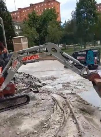 Pequeñas Gigantes De La 